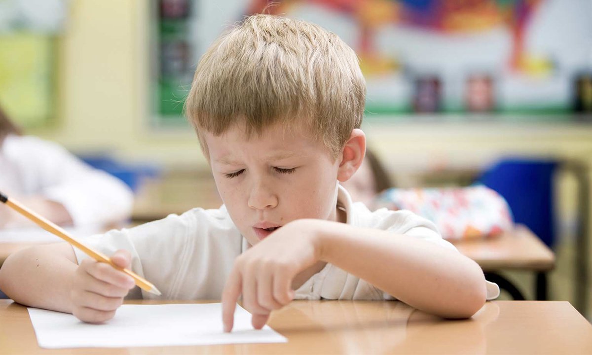 what is Intellectual Disability Support